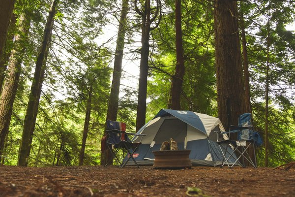 Quelles sont les meilleures pratiques pour camper en forêt boréale?